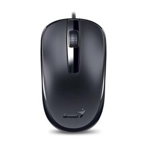 Mouse Genius DX-120 USB Negro